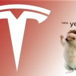 Six mois en Tesla : un processus de commande atypique | MacGeneration