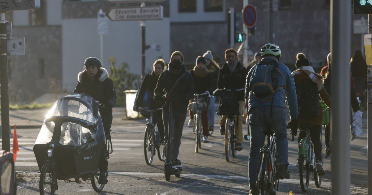 Strasbourg. Vélo électrique : 1600 demandes d'aides effectuées dans l'Eurométropole - DNA