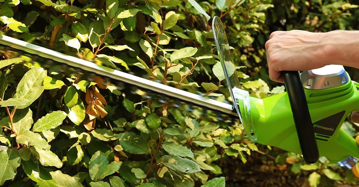 Le taille-haie électrique Greenworks met de l'ordre dans votre jardin à 36 $, plus dans les Nouvelles aubaines vertes