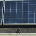 Voici comment les nouveaux crédits d'impôt et remises américains fonctionneront pour les rénovations de maisons à énergie propre.