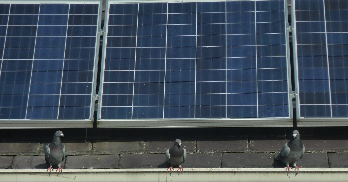 Voici comment les nouveaux crédits d'impôt et remises américains fonctionneront pour les rénovations de maisons à énergie propre.